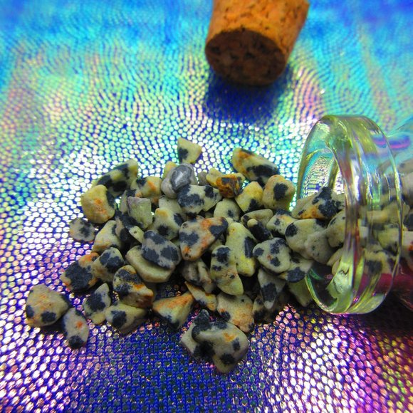 Dalmatian Jasper Gemstone Chips In A Bottle Embellishments Natural Semi Precious - Picture 1 of 3